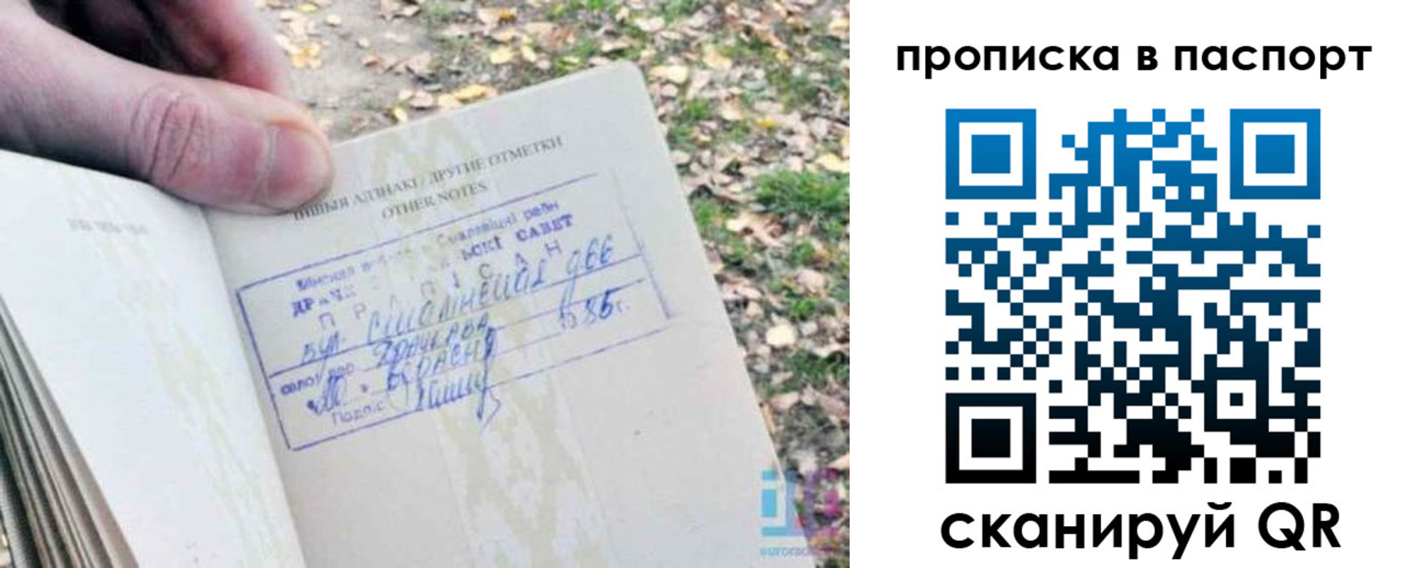 временная регистрация собственник в Архангельске
